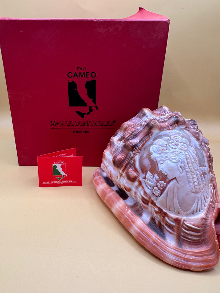 Carved Cameo Helmet Shell Display – M+M Scognamiglio Hand-Carved Specimen (5.2")