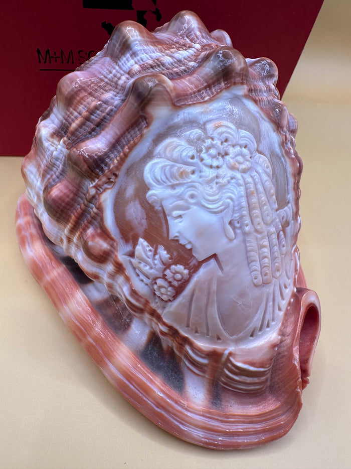 Carved Cameo Helmet Shell Display – M+M Scognamiglio Hand-Carved Specimen (5.2")