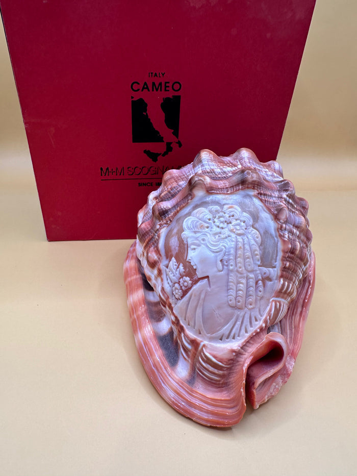 Carved Cameo Helmet Shell Display – M+M Scognamiglio Hand-Carved Specimen (5.2")