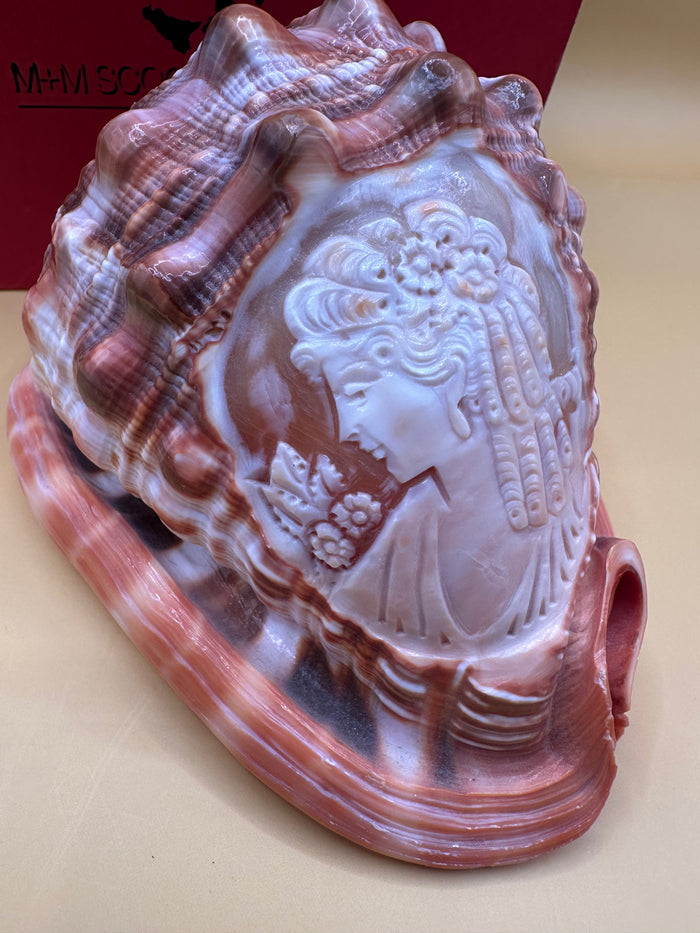 Carved Cameo Helmet Shell Display – M+M Scognamiglio Hand-Carved Specimen (5.2")