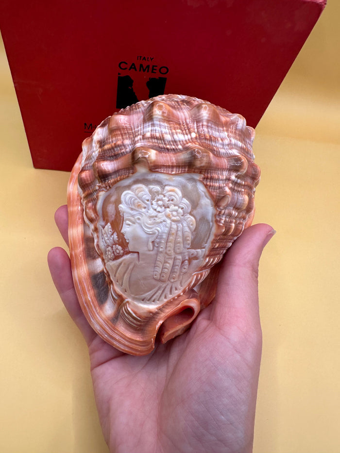 Carved Cameo Helmet Shell Display – M+M Scognamiglio Hand-Carved Specimen (5.2")