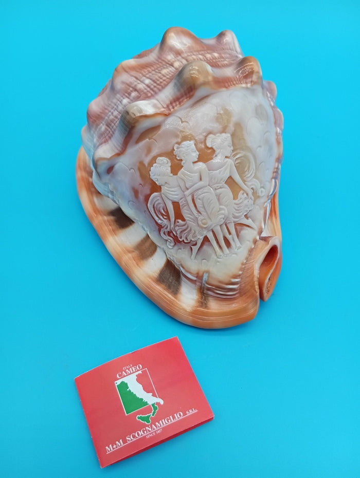Carved Cameo Helmet Shell – Three Graces by Scognamiglio – 5"