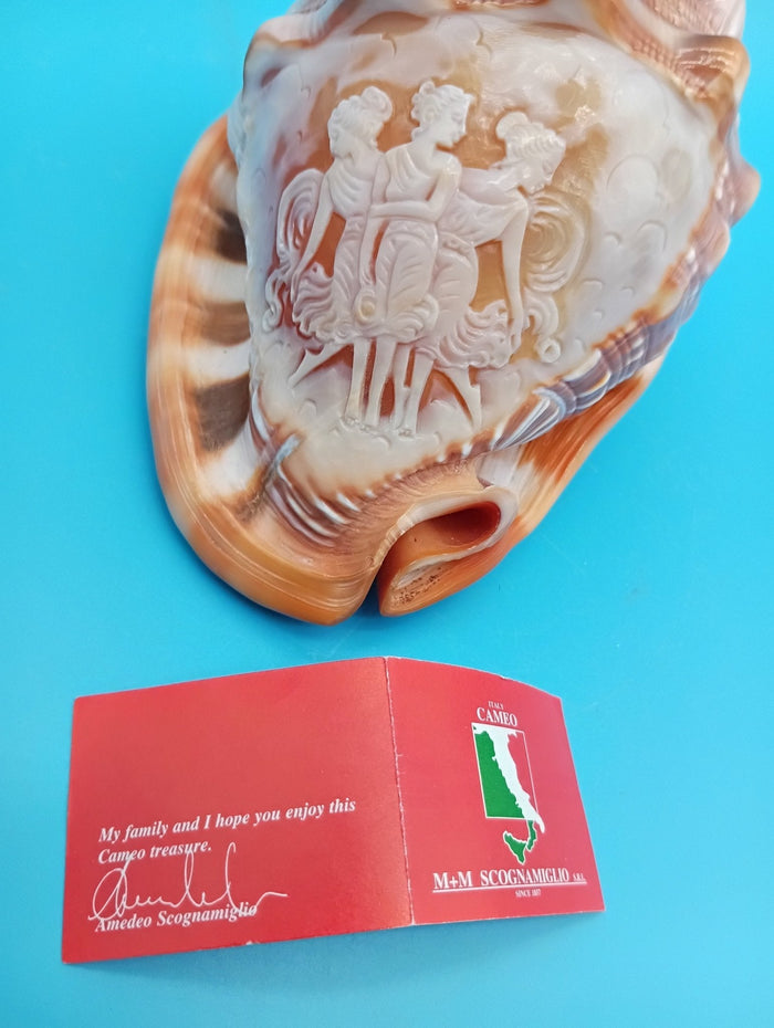 Carved Cameo Helmet Shell – Three Graces by Scognamiglio – 5"
