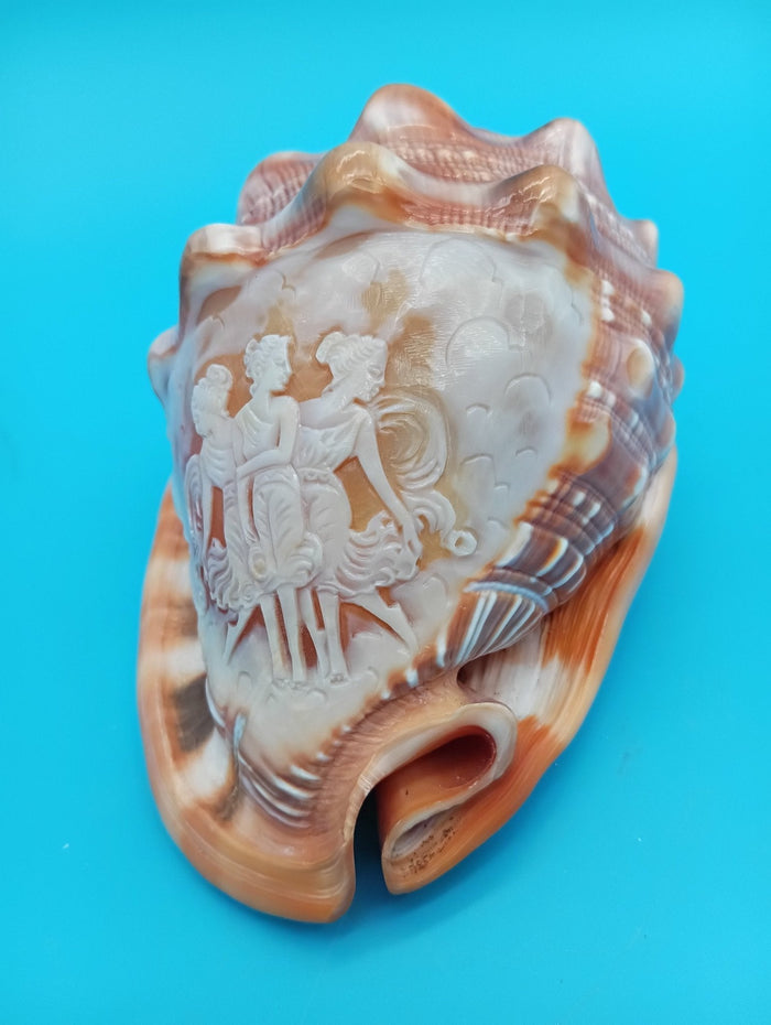 Carved Cameo Helmet Shell – Three Graces by Scognamiglio – 5"