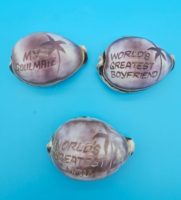 Carved Cowrie Shell Magnet – Coastal Gift Boyfriend, Mom, Girlfriend, Dad, or Soulmate 3"