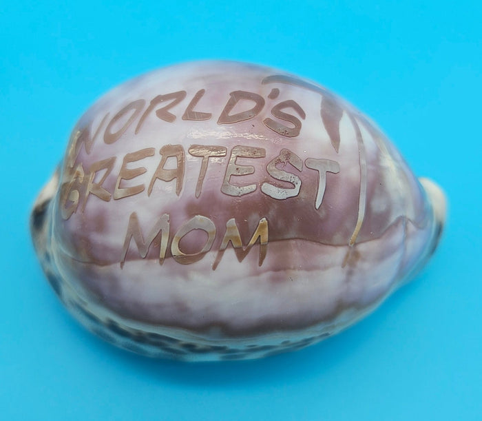 Carved Cowrie Shell Magnet – Coastal Gift Boyfriend, Mom, Girlfriend, Dad, or Soulmate 3"