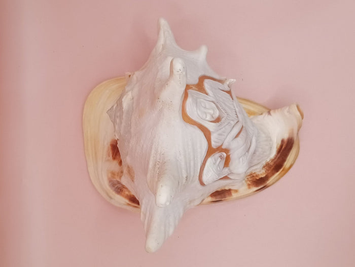 Hand Carved Yellow Helmet Shell – 7.8" Natural Cassis Cornuta