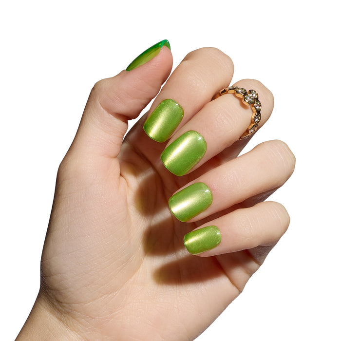 Kiwi Fizz