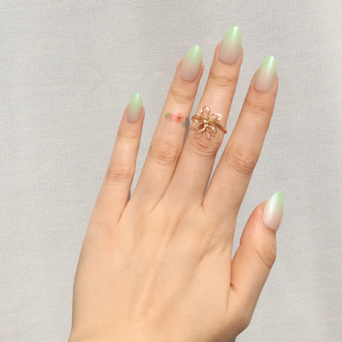 Lime Light