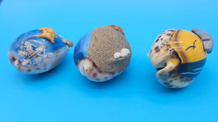 Painted Cowrie Shell Magnets – Coastal Decor Sea Turtle, Dolphin, or Sand Scene 2.5–3"
