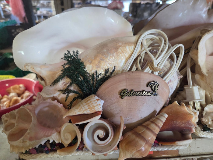 Pink Queen Conch Shell Vintage Novelty Light
