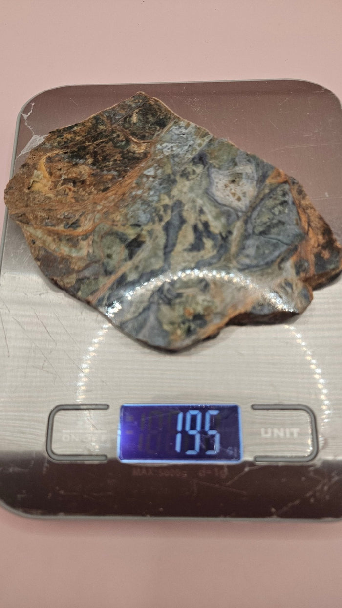 Rainforest Jasper Polished Slab – Vibrant Earthtone Swirls (195g)