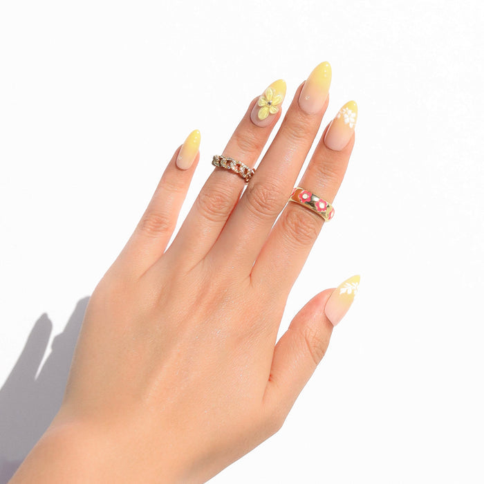 Sunny Daisy