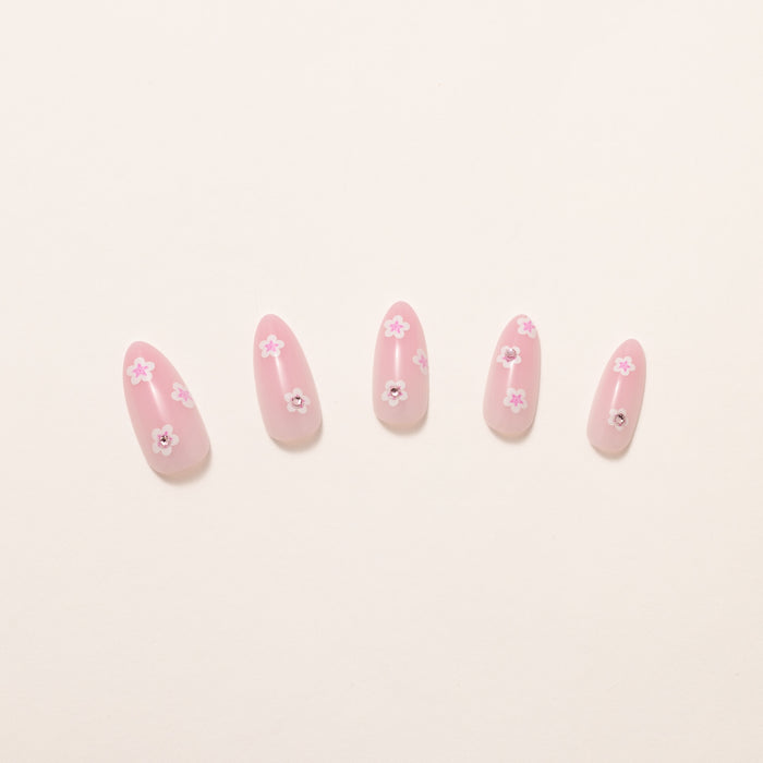 Sweet Magnolia