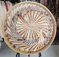 Terebra Shell Art Circle – 16" Handcrafted Spiral Shell Wall Art Decor