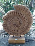 Wooden Ammonite Fossil Teak Sculpture – Coastal Carved Spiral Décor on Stand