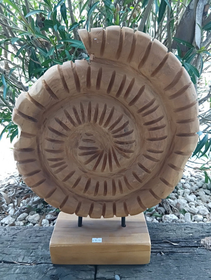 Wooden Ammonite Fossil Teak Sculpture – Coastal Carved Spiral Décor on Stand