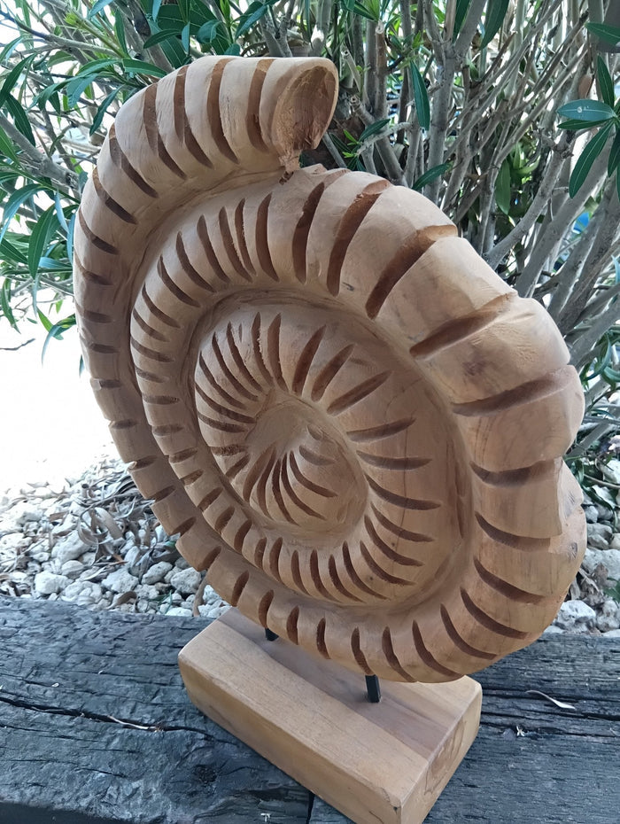 Wooden Ammonite Fossil Teak Sculpture – Coastal Carved Spiral Décor on Stand